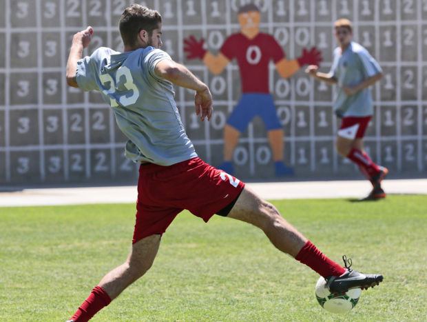 Soccer: It's David vs. Dynamo